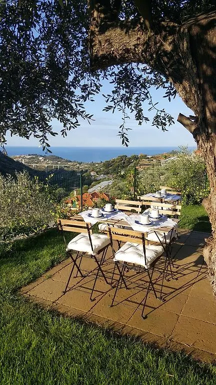 Aurivu Villa Vallebona Farm stay